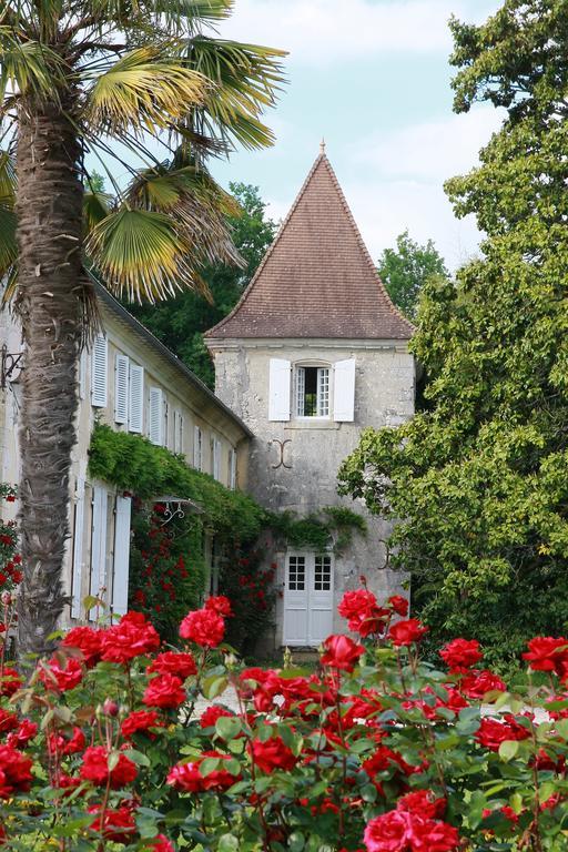 Léoville Chateau De Puyrigaud Bed & Breakfast エクステリア 写真