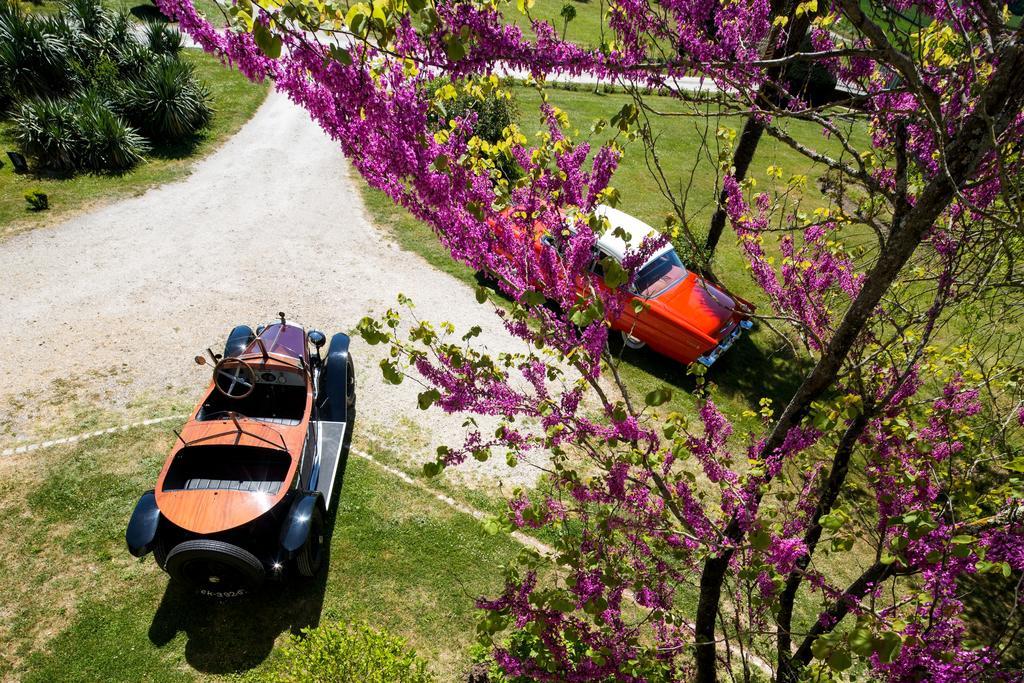 Léoville Chateau De Puyrigaud Bed & Breakfast エクステリア 写真